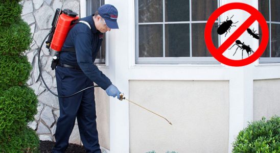 Kemeraltı Haşere İlaçlama böcek ilaçlama ve haşere kontrolü — ilaclama-tr.com